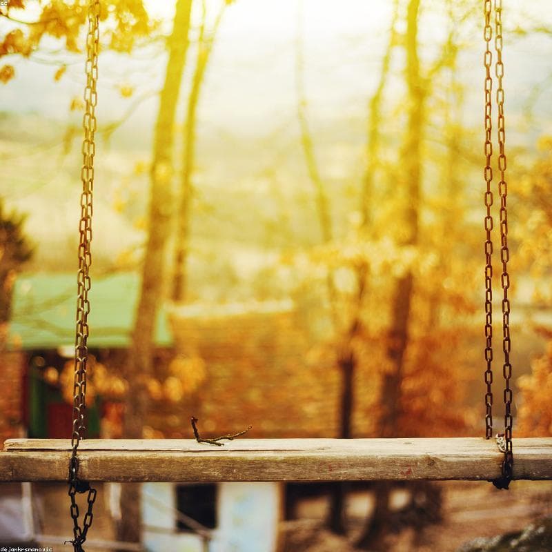 Heavy-Duty Swing Chairs - New Design