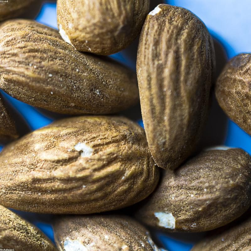 Bulk Almonds - Ready to Ship