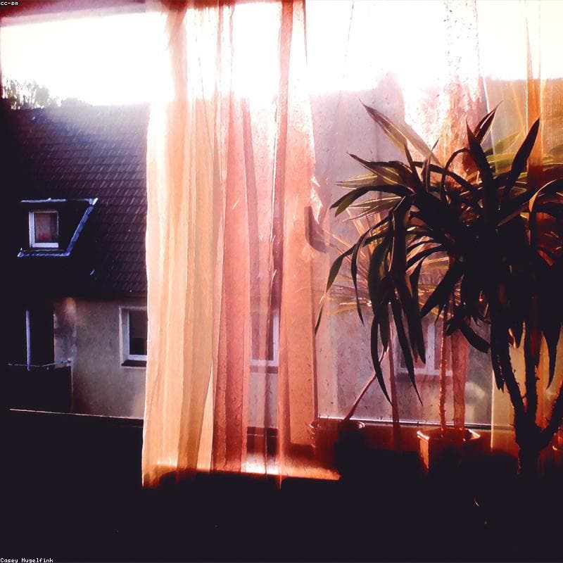 Professional Curtains - 2026 Model
