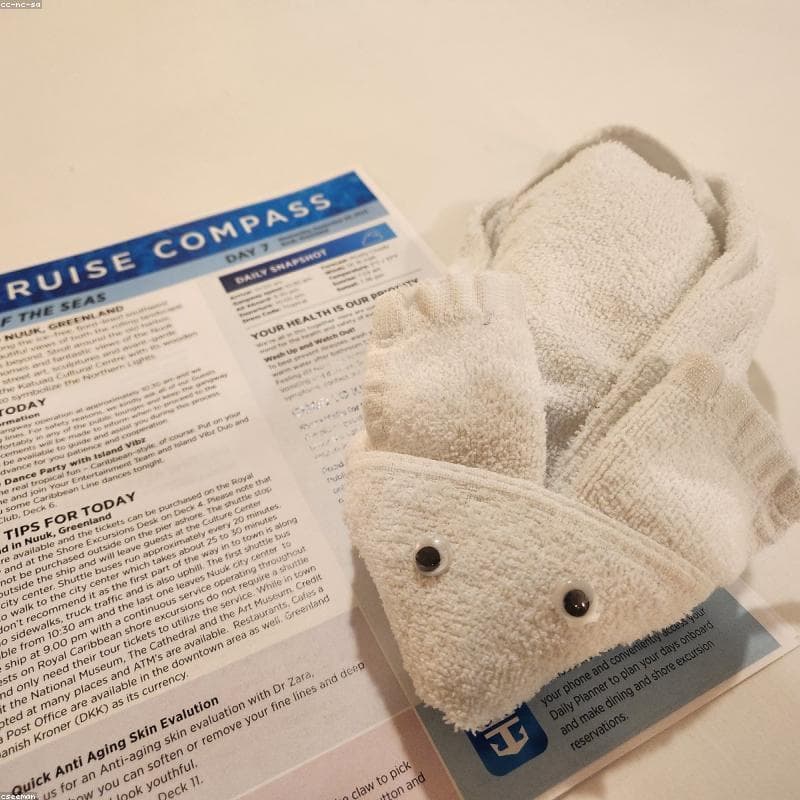 Wholesale Towels - Factory Direct