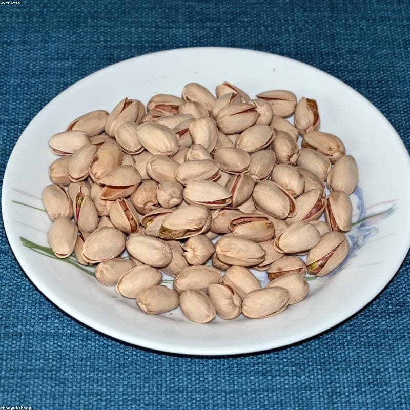 Eco-Friendly Pistachios - Wholesale Lot