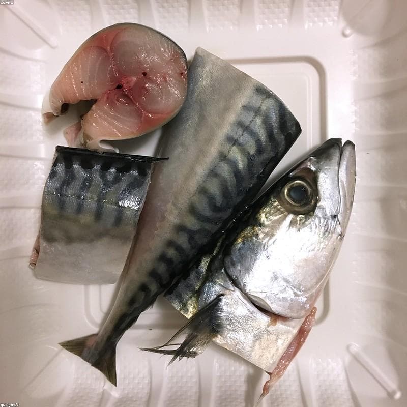 Industrial Seafood & Fish - Ready to Ship